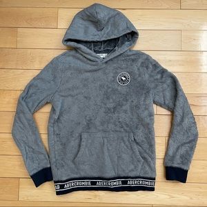 sherpa icon hoodie